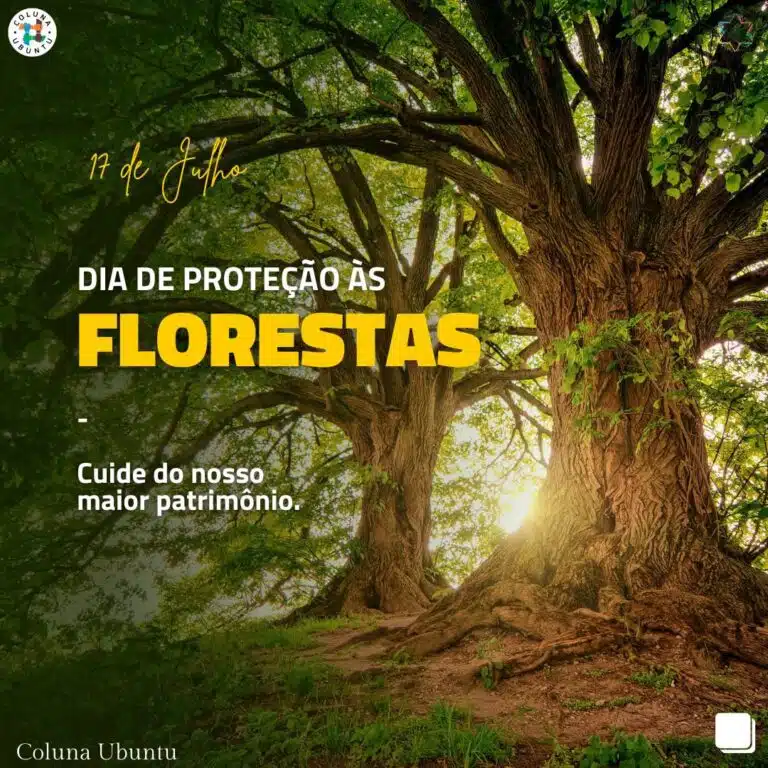FLORESTAS