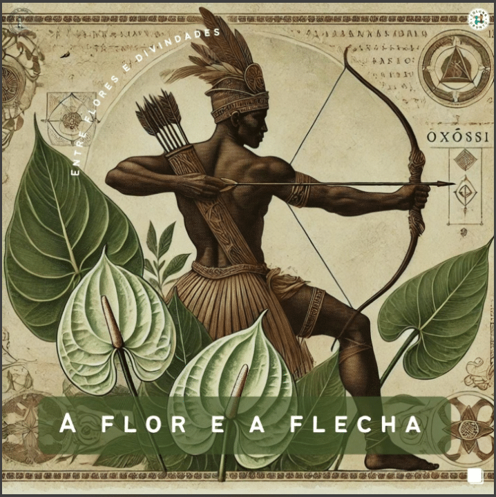 a flor e a flecha
