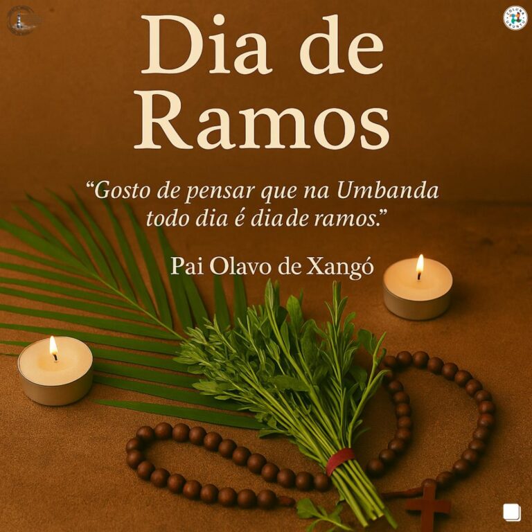 IMG-20250415-WA0093(1)