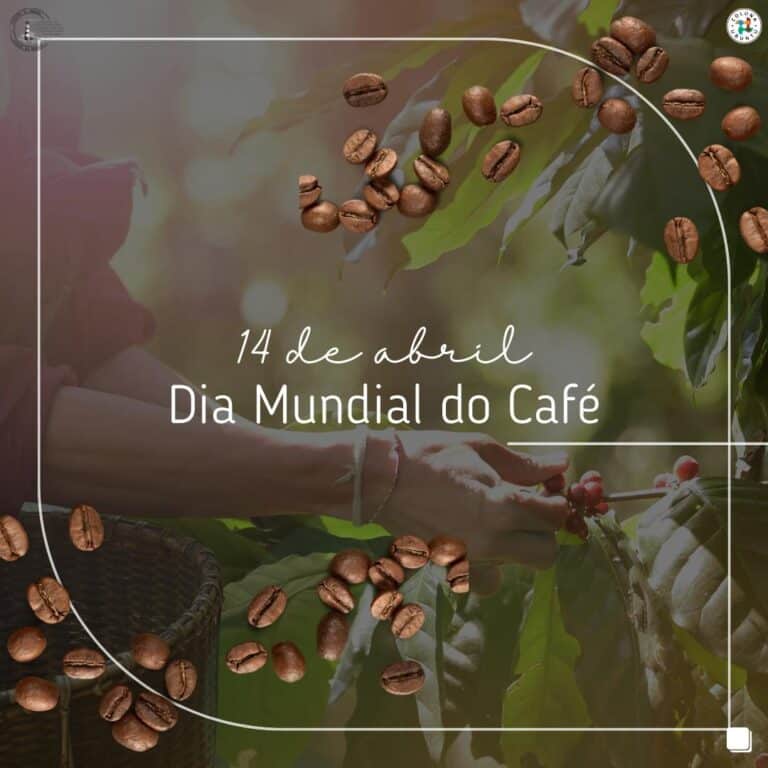 dia mundial do cafe