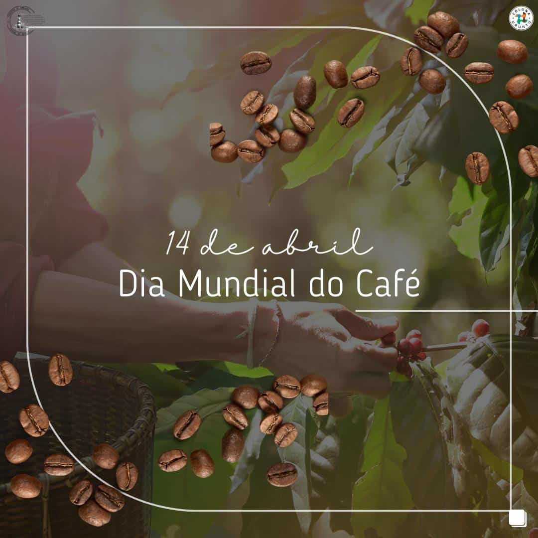 Dia mundial do Café — Terreiro Firmina do Rosário