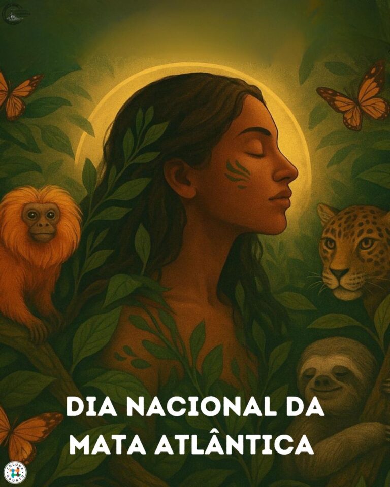 dia nacional da mata atlantica